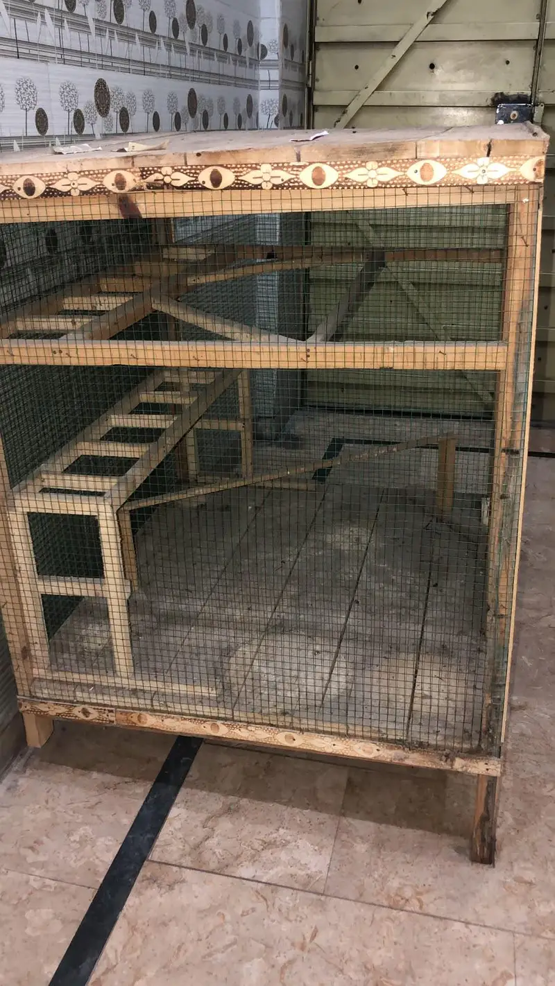 cage deyar wood — photo 2