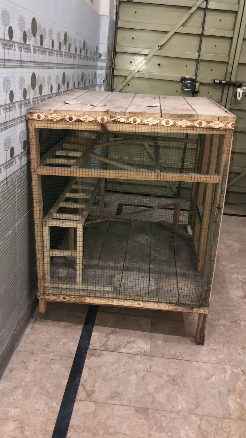 cage deyar wood — photo 3