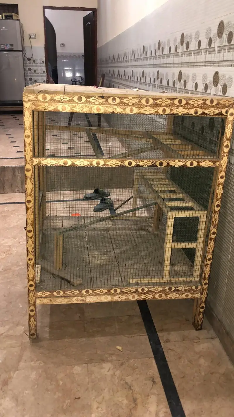 cage deyar wood — photo 4