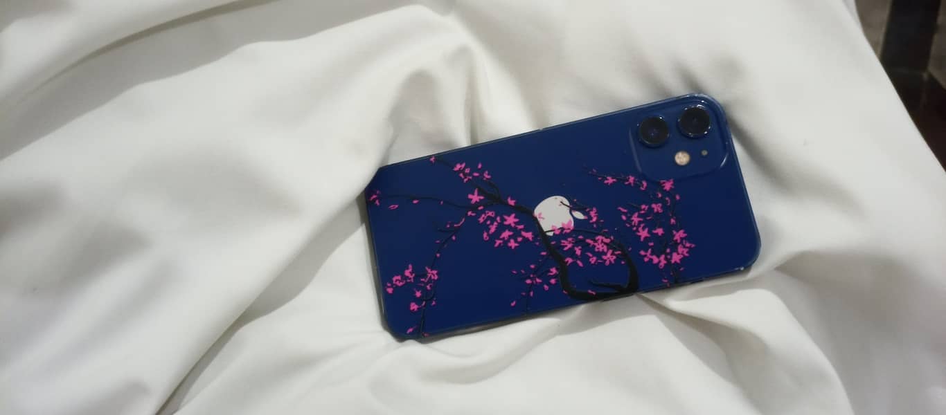 Apple iPhone 12 mini 1