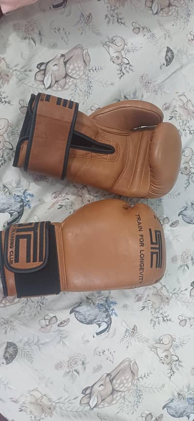Boxing gloves brand new