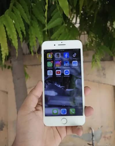 7 plus Just call