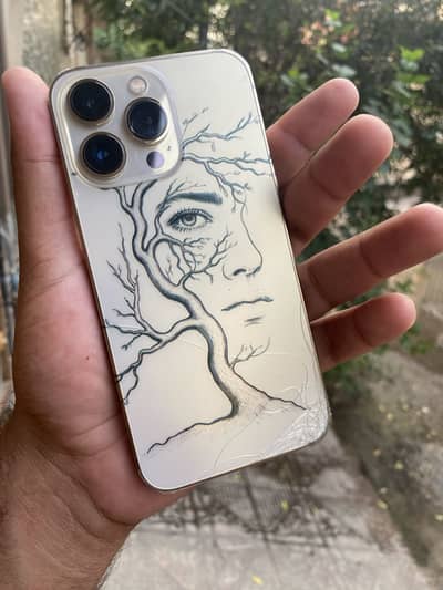 Apple iPhone 13 Pro pta approved