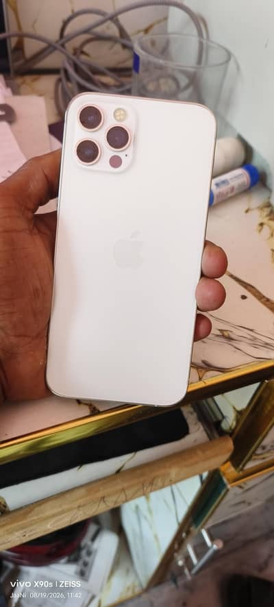 Apple iPhone 12 Pro Fu