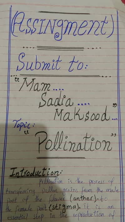 Contact if you need more assignments