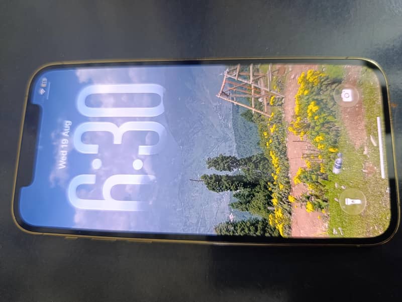 Apple iPhone 12 Pro 1