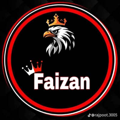 Faizan Ameer Minhas