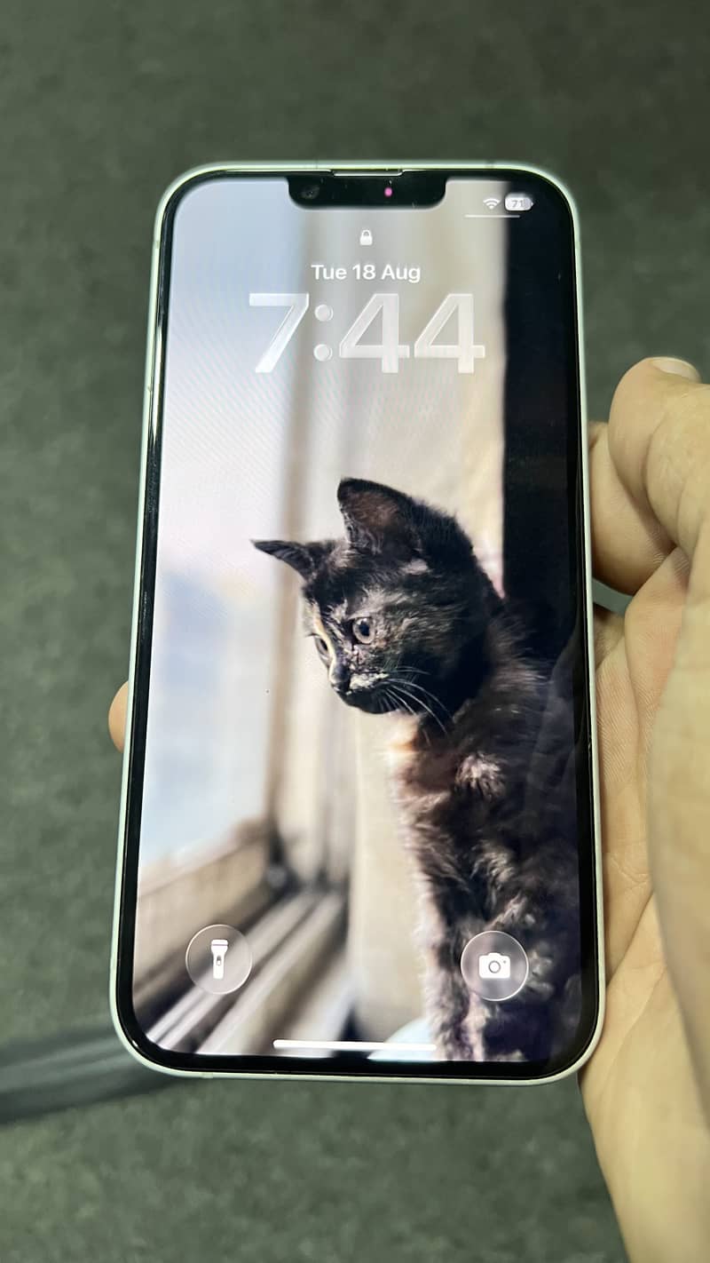 Apple iPhone 16e 1