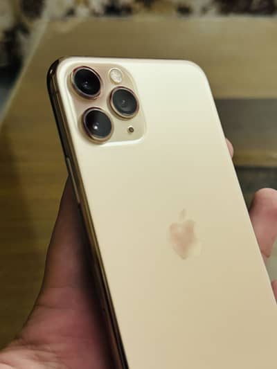 Apple iPhone 11 Pro waterpack