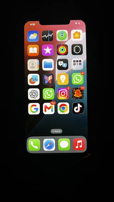 Apple iPhone XS Max - Just Back Brake - Total Orignal Phone