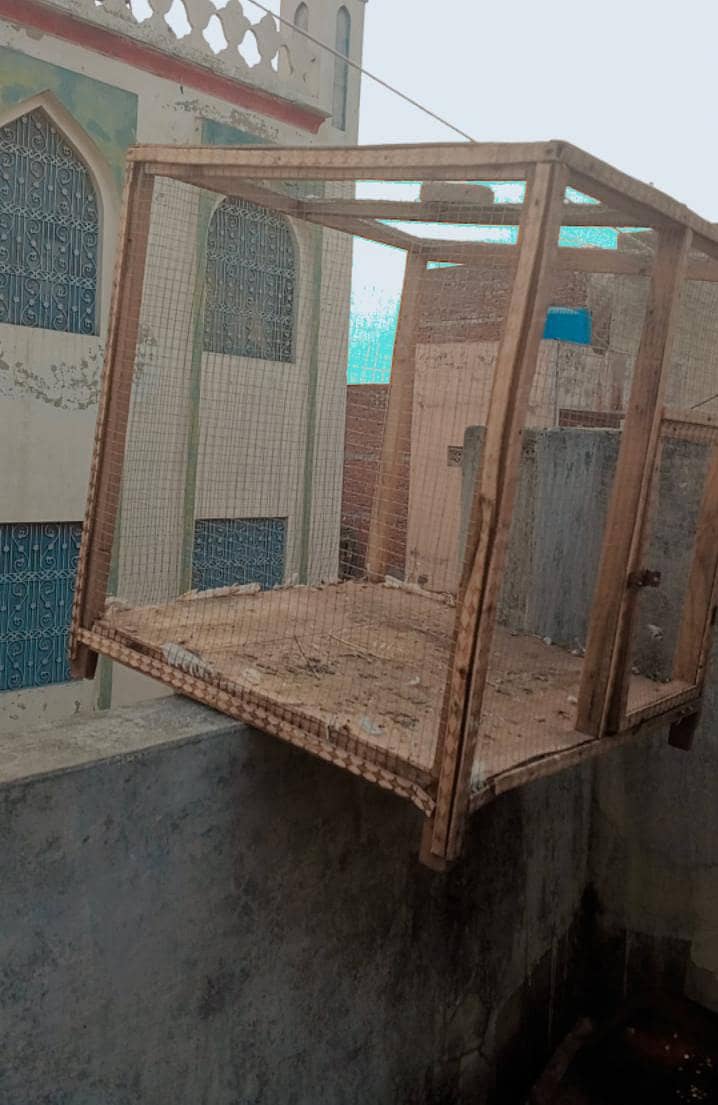 hen cage 2
