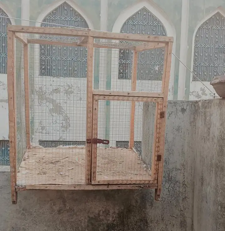 hen cage — photo 4
