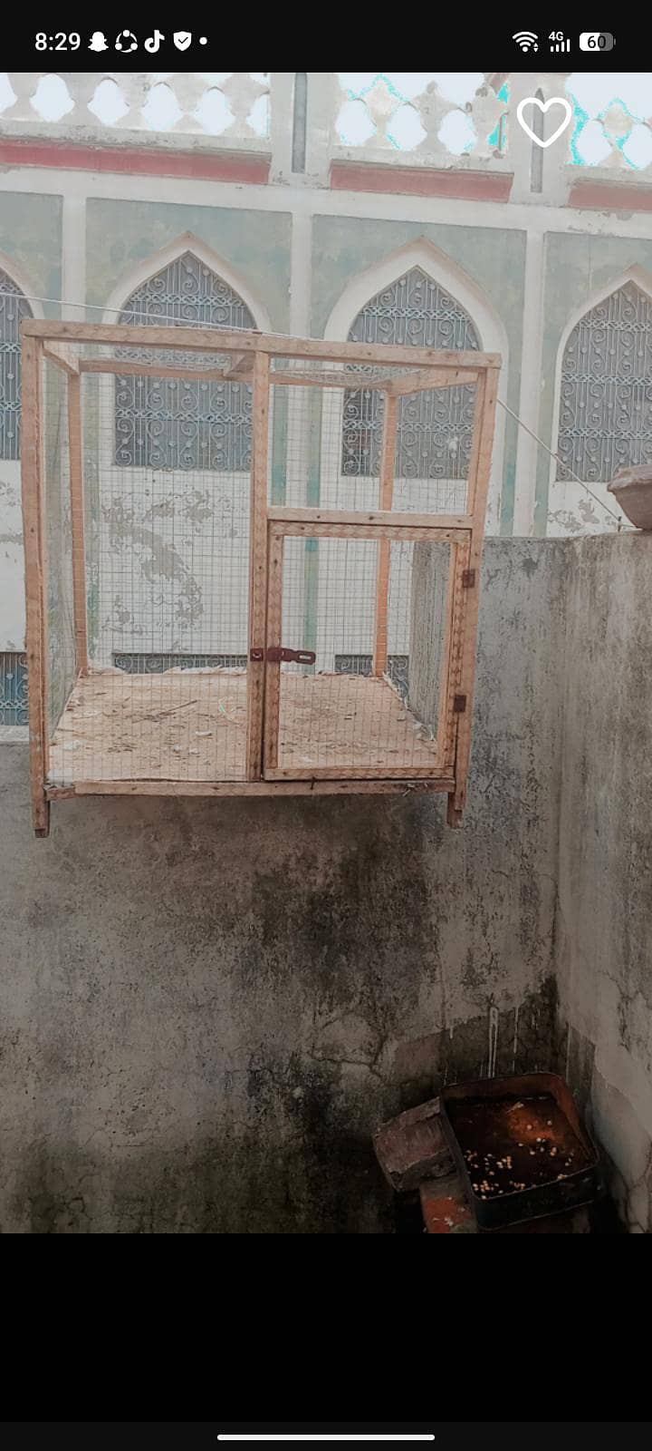 hen cage 6