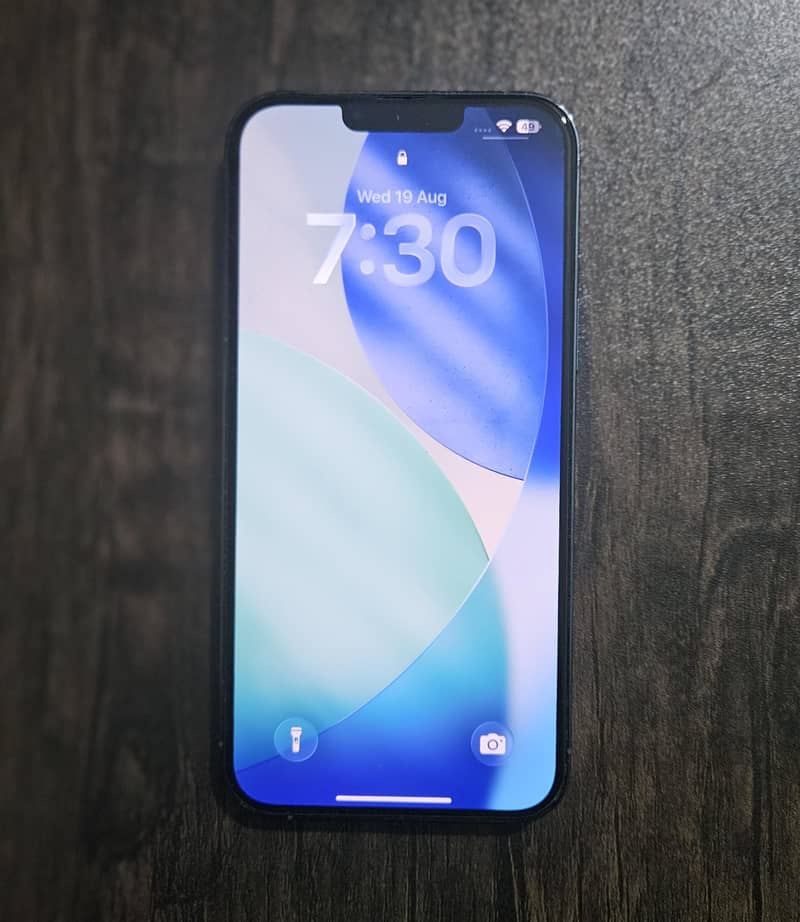 Apple iPhone 13 Pro Max 1