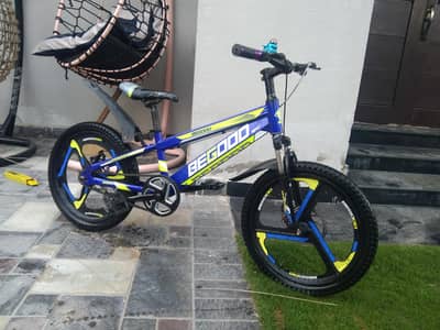 20 inch cycle 6 se 10 sal k ly