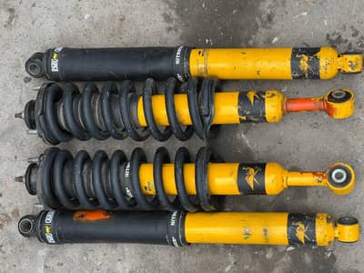 Shock Absorber Rivo