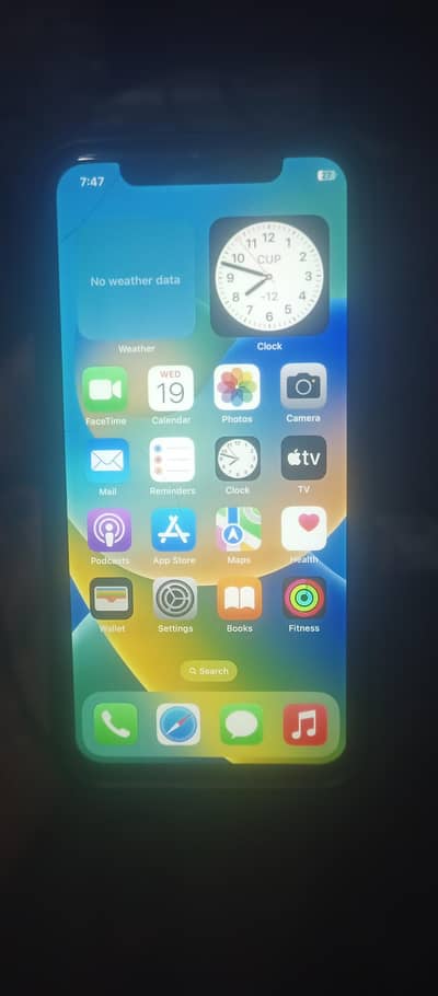 Apple iPhone X