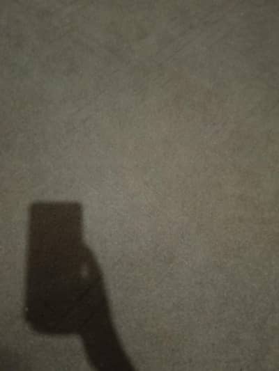 Turkish carpet
