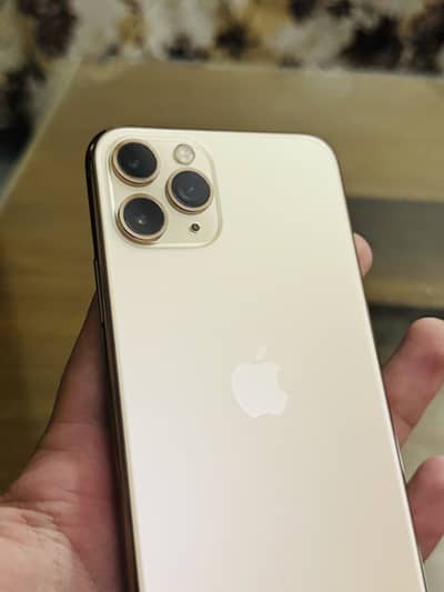 Apple iPhone 11 Pro waterpack