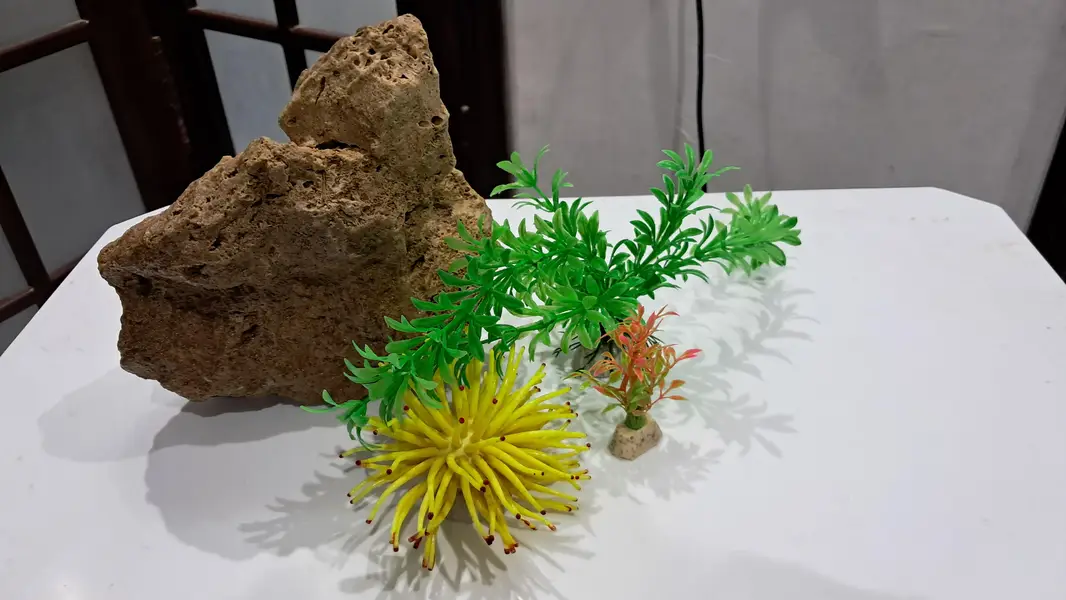 Fish Aquarium — photo 8