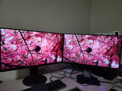 bazel less dual monitor IPS 27 inch setup