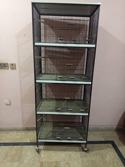 cages for love birds