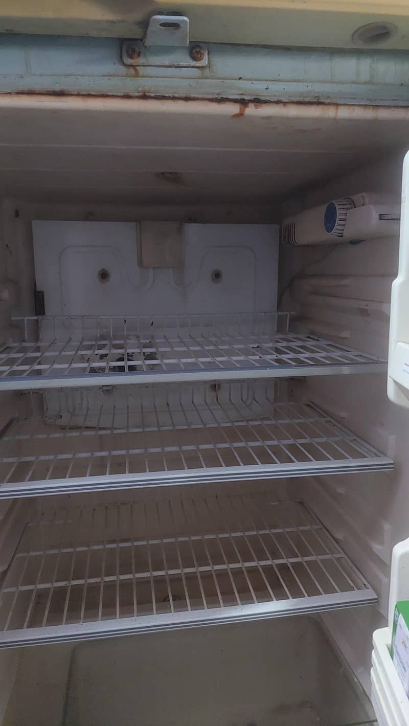 fridge waves 4