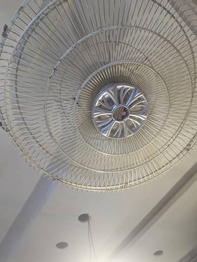Indus Fans 2 for sale