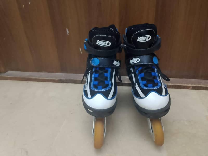 skating shoes 1