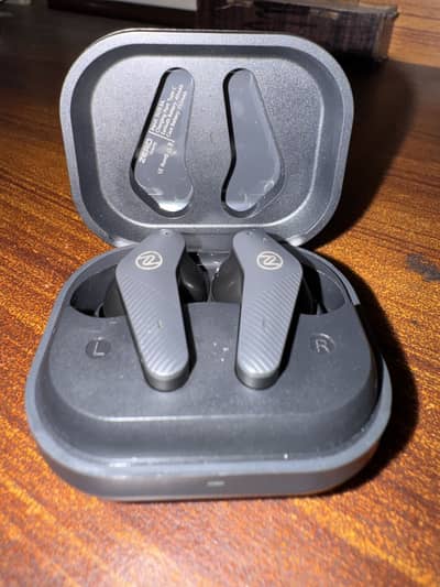 Zero Gravity earbuds
