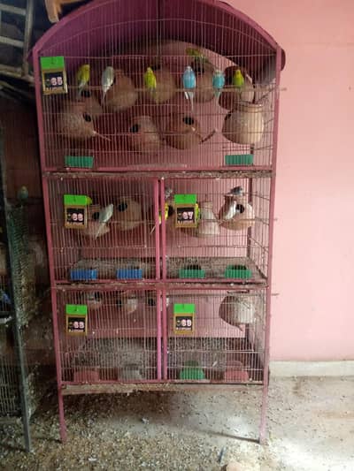 bird breeding cage 5 portion for sale