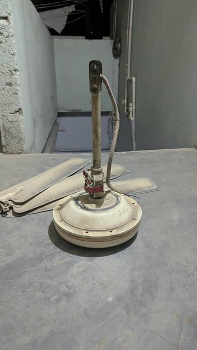 Fan AC 220v copper fan for sale in cheap price