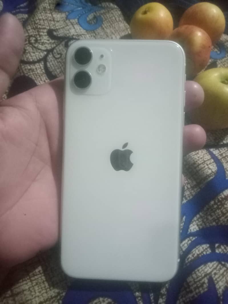 Apple iPhone 11 0