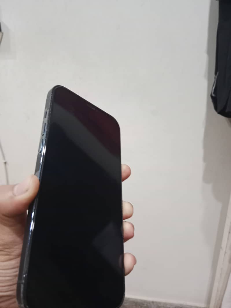 Apple iPhone 12 Pro Max 1