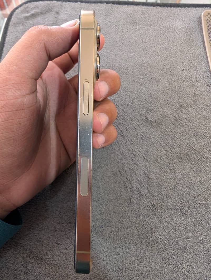 Apple iPhone 13 Pro 2