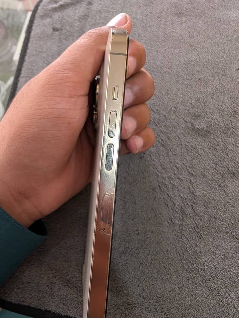 Apple iPhone 13 Pro 3