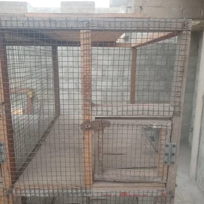 Cage for birds breeding