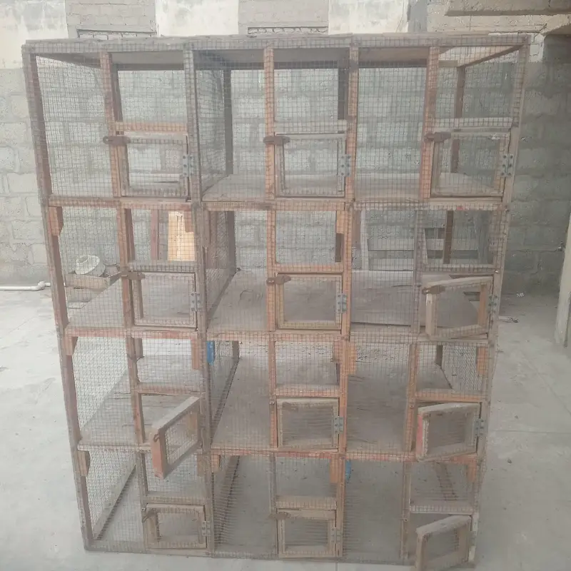 Cage for birds breeding — photo 2
