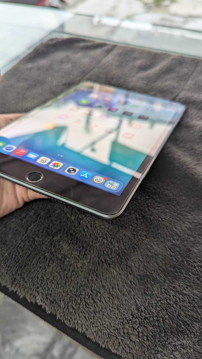 Ipad mini 5 256gb 12