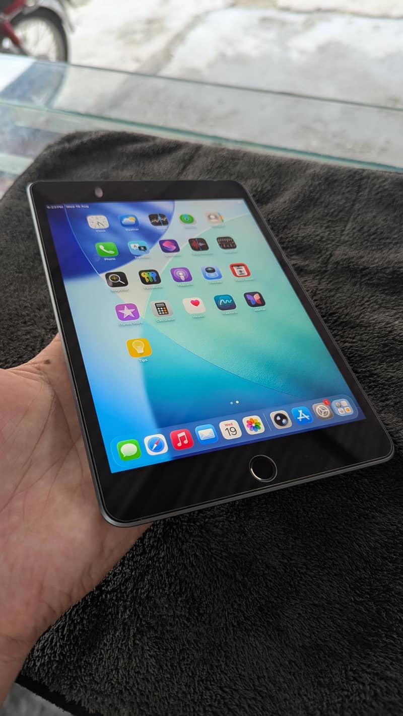 Ipad mini 5 256gb 15