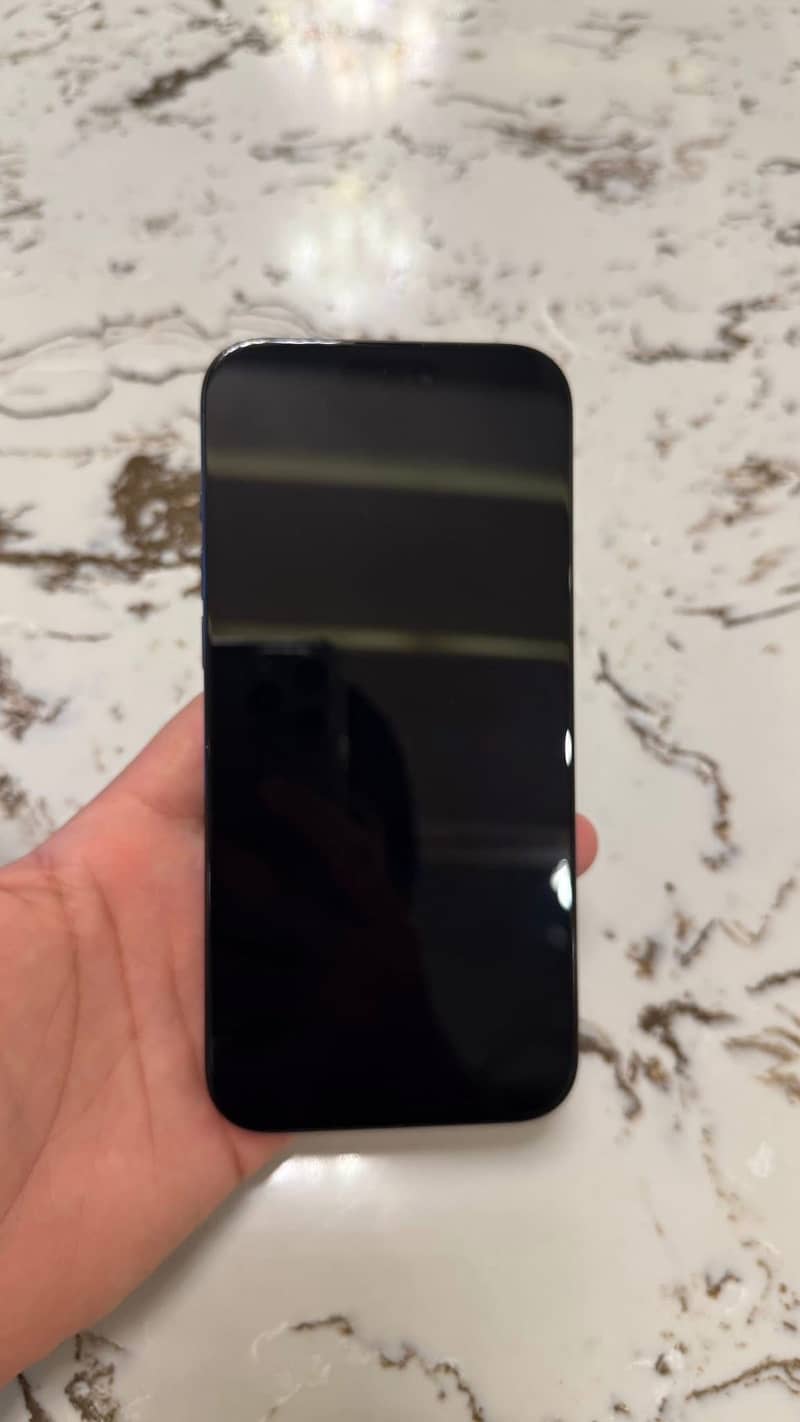 Apple iPhone 16 Pro Max 2
