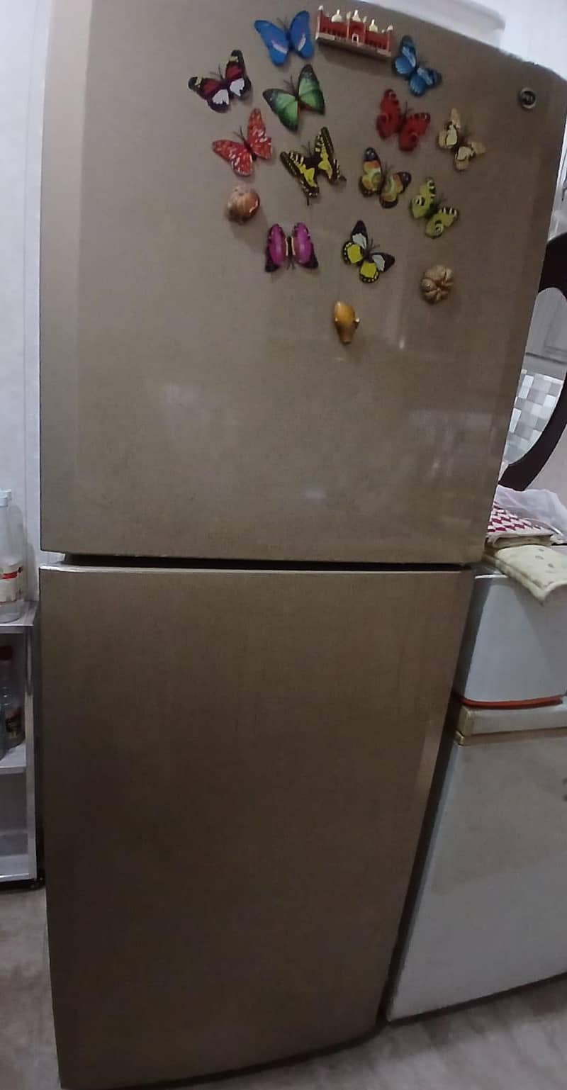 PEL Fridge 2