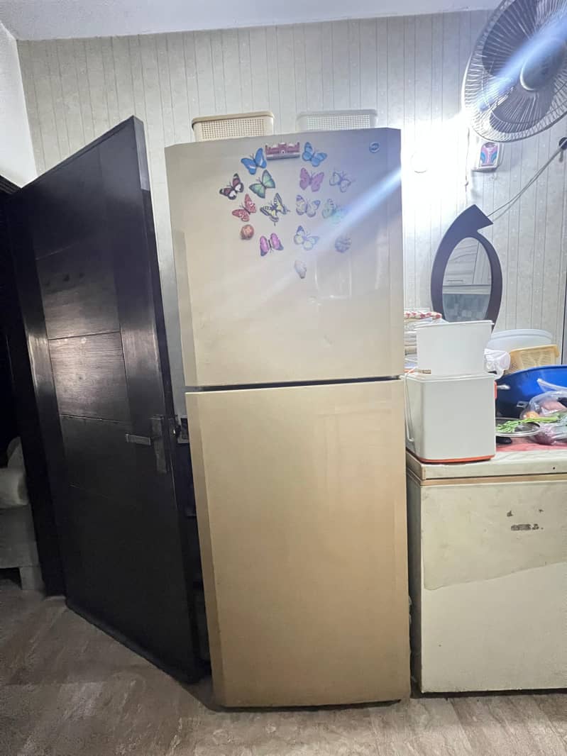 PEL Fridge 3