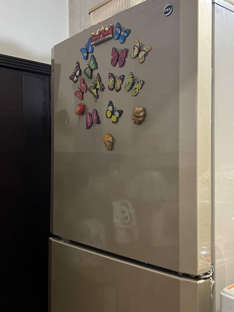 PEL Fridge 4