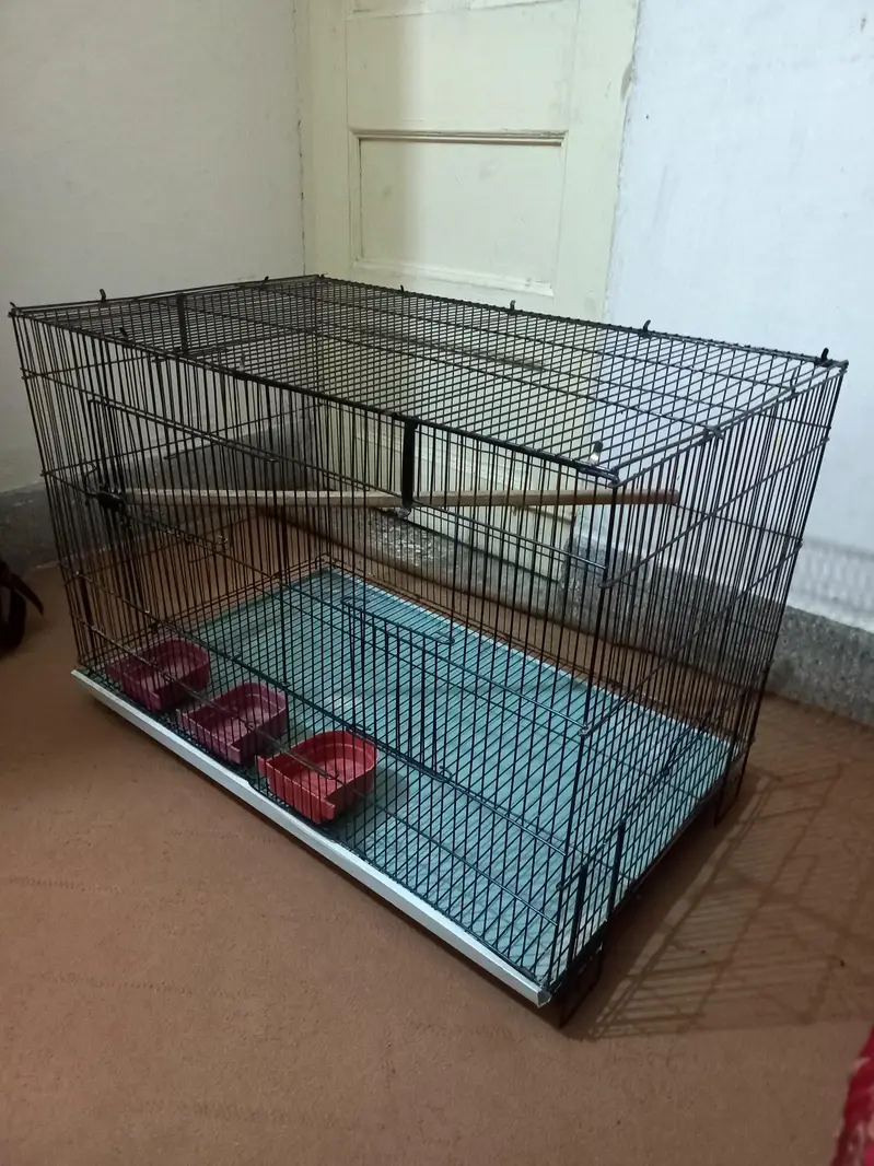 White Breader pair and folding Cage — photo 4
