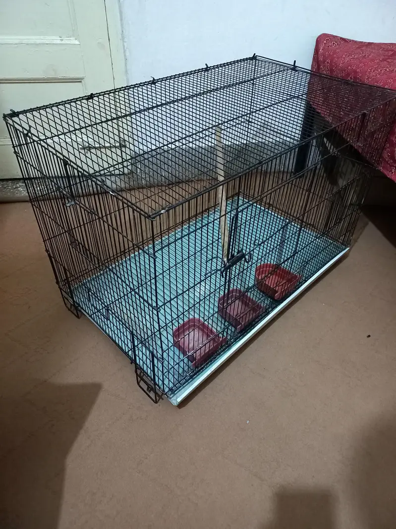 White Breader pair and folding Cage — photo 5