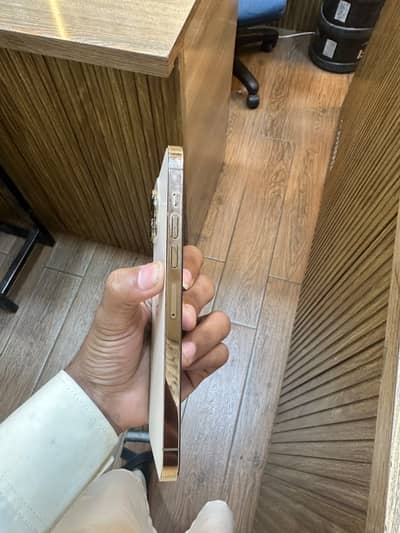 Apple iPhone 13 Pro Max jv