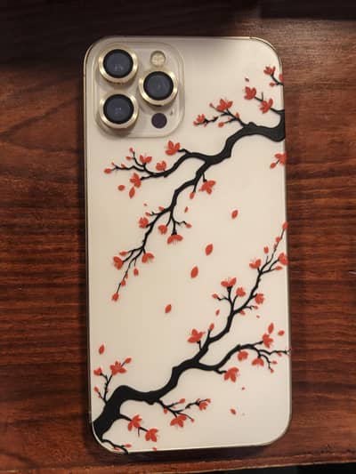 Apple iPhone 12 Pro Max
