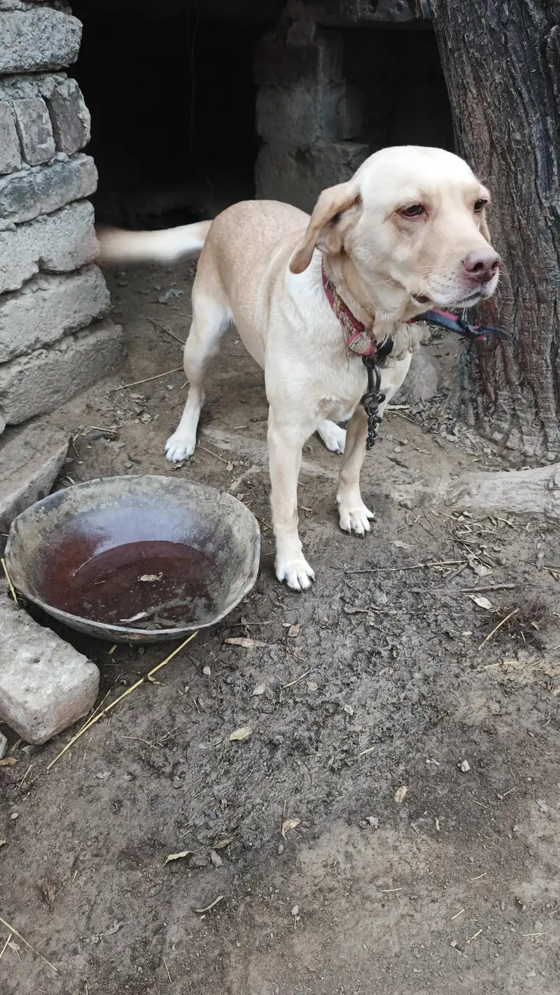 yang bared he boht achi nasal ki he jis ko is nasal ke bare me pata he — photo 2