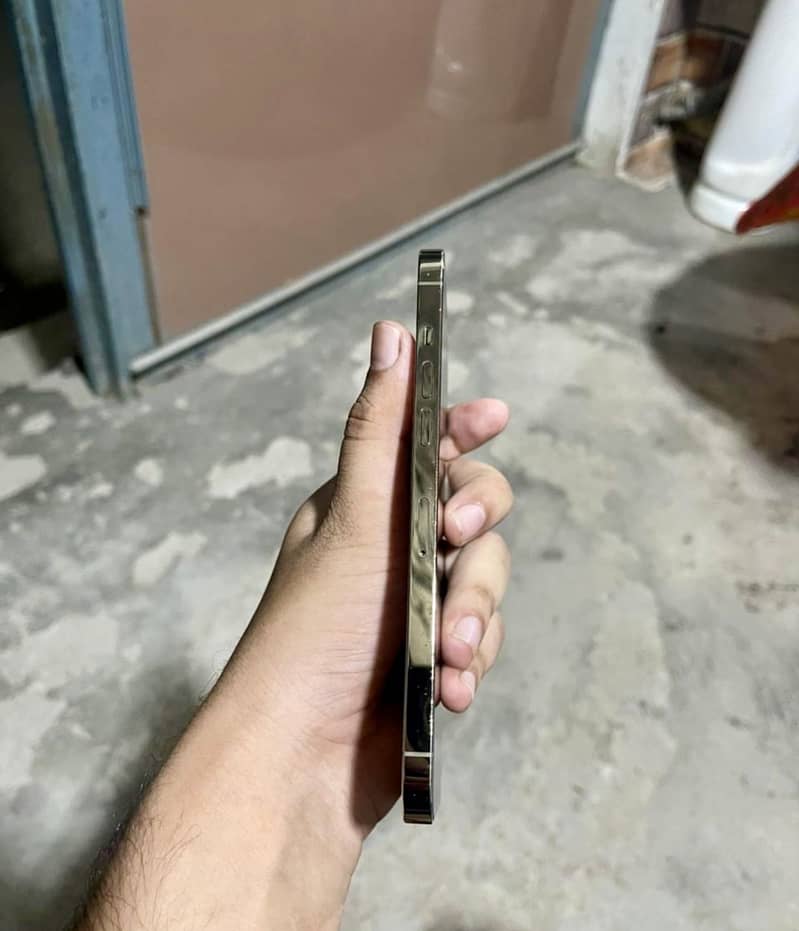 Apple iPhone 12 Pro Max 5